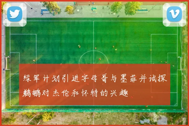 绿军计划引进字母哥与墨菲并试探鹈鹕对杰伦和怀特的兴趣